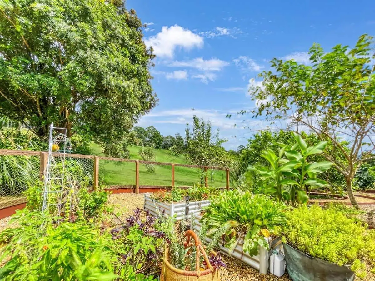 BooroobinLuxurious Mountain Retreat Near Maleny别墅